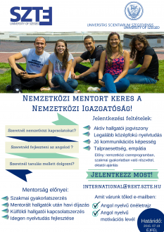 nemzetkozi_mentor_kerestetik_plakat_2015