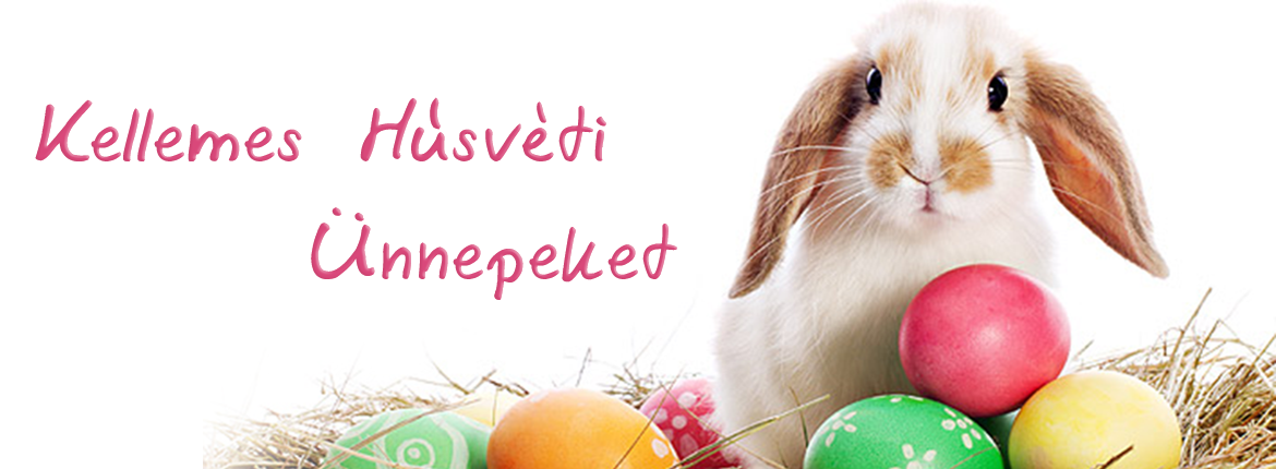 husvet_SZTE-FOK_kezdo