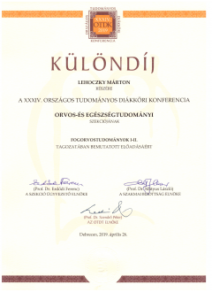 Lehoczky_Marton2 Lehoczky_Marton2
