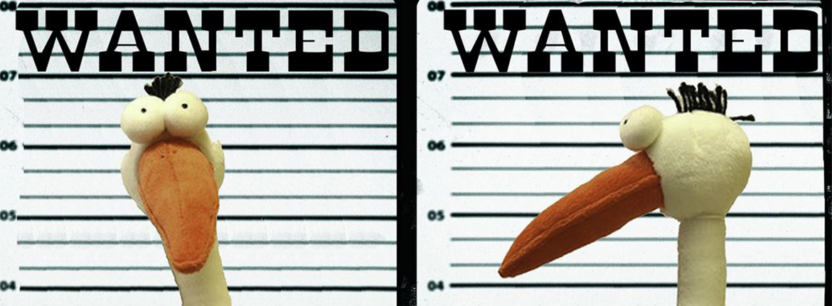 wanted