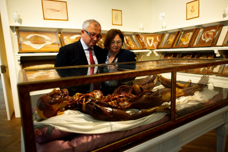 becs_muzeum_lazar_gyorgy