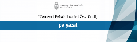 Pályázat